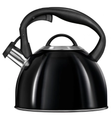 Czajnik 3l MCN-13/C czarny