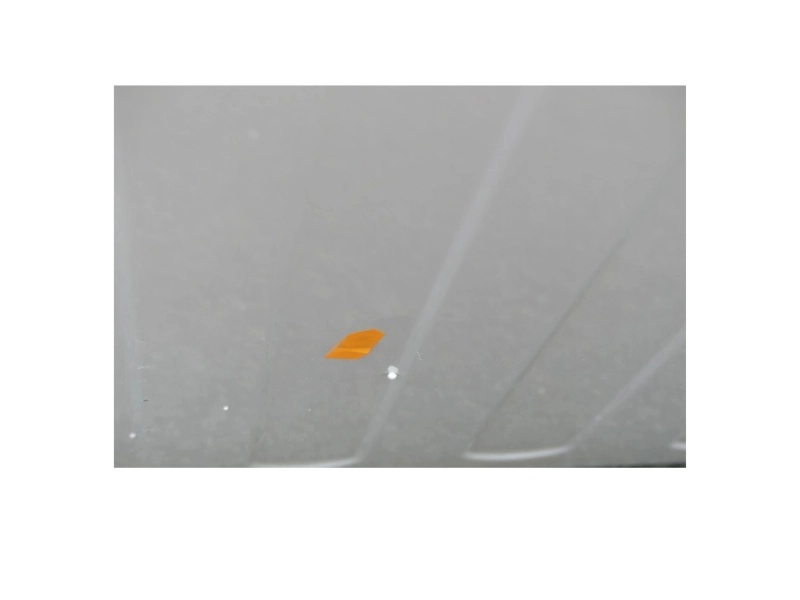 91482a8bbcae66358de5377da81b4771.png