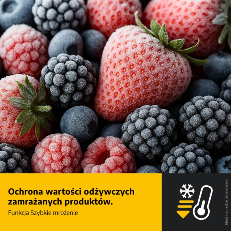 dcb73f0efea1cb8028375d88a0c5278b.webp