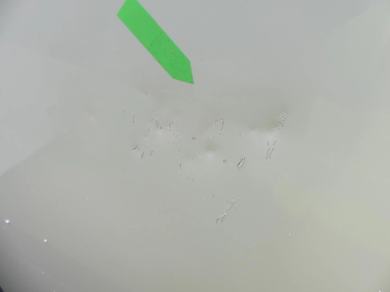 2ff6895b5c9b44a7c68d1653170e2bce.webp